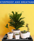 Heavy Duty Plastic Pallets For Basement Storage Waterproof HDPE Grids with potted plants on top, 25 by 28.7 by 5.7 inches