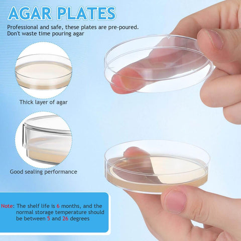 Hands holding ready to use prepoured nutrient agar plates in 2.75-inch petri dishes for microbiology labs and STEM class experiments.