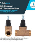 Pressure Regulating Valve For Water Systems Three Quarter Inch NPT Threaded With Poly Top 60 PSI Adjustable