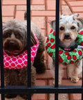 Two small dogs wearing Puppy Bumper For Dogs Neck Size Up To 13 Inches With Two Size Options Up To 10 Inches And 10 To 13 Inches Made In The USA Machine Washable Fabric Tumble Dry Low Measure Neck For A Snug No Brainer Fit collars behind a fence