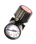 Reliable One Quarter Inch NPT air regulator with steel protected gauge guard, showing 0-200 psi scale, ideal for workshops.