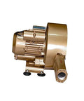 High-flow regenerative blower delivers 61 CFM at 3.6 PSI, showing side view of compact, oil-free unit with mounting base.