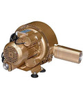 High-flow regenerative blower delivers 61 CFM at 3.6 PSI with oil-free, low-maintenance operation, shown in side view.
