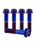 ✝️ RISON Titanium Bolts Hex Head Flange Burnt Blue GR5 Titanium Screws M6x30mm Pack of 5