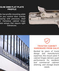 10 Pack Salice Screw On Domi Mounting Plate 2mm Frameless Cabinet Hinge Base Zinc Die Cast with Text About Slim Profile