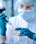 Scientist using Ready To Use Prepoured Nutrient Agar Plates In 2.75 Inch Petri Dishes For Microbiology Labs And STEM Class Experiments