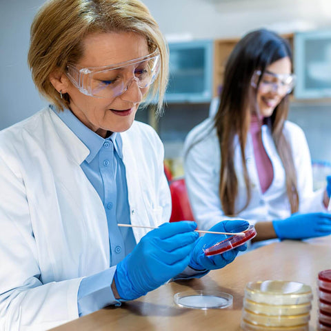 Scientists using Ready To Use Prepoured Nutrient Agar Plates In 2.75 Inch Petri Dishes For Microbiology Labs And STEM Class Experiments.