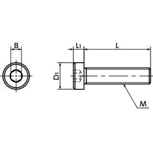 SPE-M6-10-LC NBK Plastic screw - Hex Socket Low Head Bolt - PEEK Japan Made technical drawing showing dimensions and design.