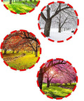 Four circular images showing trees in different seasons: spring, summer, autumn, winter, labeled 'Made for All Seasons'.