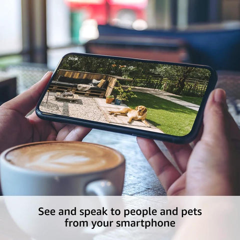 Person holding smartphone displaying footage from wire-free two-camera outdoor security kit with Sync Module 2, showing a dog outside