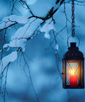 Snow-covered branches with a lantern holding a glowing candle, creating a warm contrast in a cold, winter scene.