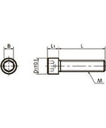 SNS-M6-20-EL NBK Socket Head Cap Screws Electroless Nickel Plating - Pack of 10. Made in Japan - VXB Ball Bearings