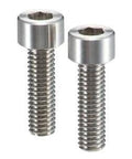 SNSI-M3-12 NBK Socket Head Cap Screw - Inconel equiv.- Japan Made, close-up view of screw head and threads.