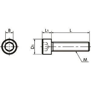 Technical drawing of ✝️ SNSJ-M3-16 NBK Socket Head Cap Screws - SUS310S- Made in Japan for automation systems