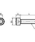 SNSMN-M3-12 NBK Hex Socket Head Cap Screws (Monel 400 equiv.)- Made in Japan - VXB Ball Bearings