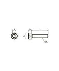 Technical diagram of SNSS-M1.6-3 NBK Hex Socket Head Cap Screws for Precision Instruments, showcasing dimensions and design.