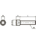 SNSS-M10-35-MO NBK Socket Head Cap Screws MoS2 Coating - Pack of 10. Made in Japan - VXB Ball Bearings