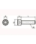 Technical drawing of ✝️ SNSS-M5-16-TF NBK Hex Socket Head Cap Screws - Teflon® Coating One Screw - Made in Japan, detailing dimensions.