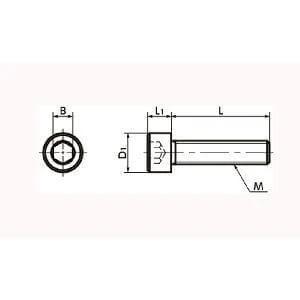 Technical drawing of ✝️ SNSS-M5-16-TF NBK Hex Socket Head Cap Screws - Teflon® Coating One Screw - Made in Japan, detailing dimensions.