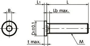 Technical diagram of SSH-M8-12-SD NBK Socket Head Cap Screws - Extreme Low & Small Head- Pack of 10 - Made in Japan dimensions shown