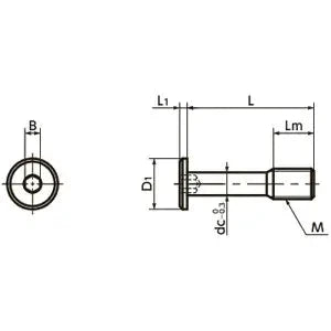 Technical diagram of ✝️ SSCHS-M3-12 NBK Socket Head Cap Captive Screws - Special Low Profile - Made in Japan for smooth motion and alignment.