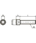 Technical drawing of SNSS-M6-12-MO NBK Socket Head Cap Screws MoS2 Coating - Pack of 10. - Made in Japan specifications