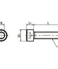Technical diagram of ✝️ SNSJ-M3-20 NBK Socket Head Cap Screws - SUS310S- Made in Japan, showing dimensions and design features.