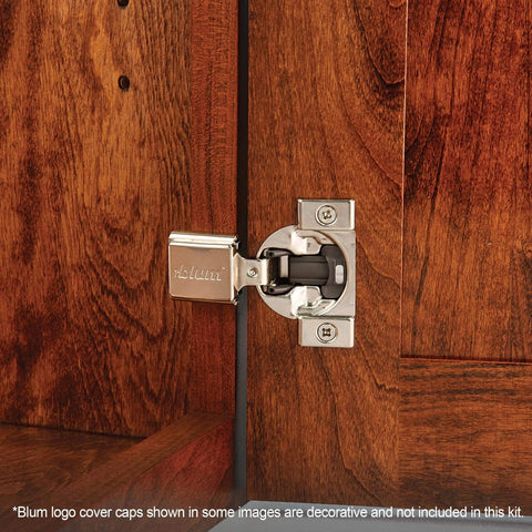 Installed ✝️ 1-Pack Hinge (1 Kit), 1/2" Overlay, 105° Opening Angle, steel soft-close hinge on wooden face frame cabinet door.