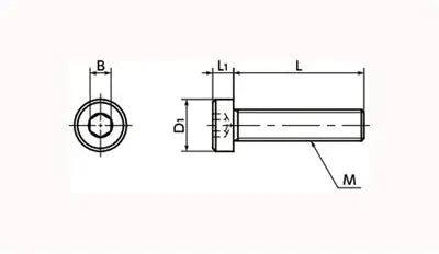 Technical diagram of ✝️ SPA-M3-12-LC NBK Plastic screw - Hex Socket Low Head Bolt, dimensions labeled, 1-pack.
