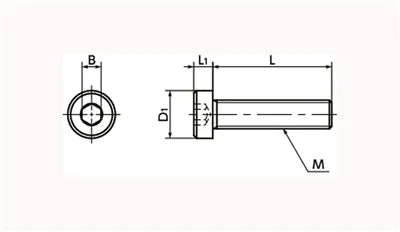 SPA-M5-16-LC NBK Plastic screw - Hex Socket Low Head Bolt - RENY Pack of 20 Screws Made in Japan - VXB Ball Bearings
