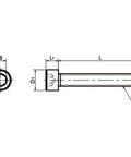 SPE-M5-100-C-FT NBK Plastic full thread screw made in Japan - VXB Ball Bearings