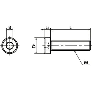 SPE-M6-25-LC NBK Plastic screw - Hex Socket Low Head Bolt - PEEK Made in Japan - VXB Ball Bearings