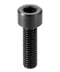 SPEC-M5-20-C NBK Plastic screw - Hex Socket Head Cap Screw - Conductive PEEK Japan Made, showing front view with hex socket.