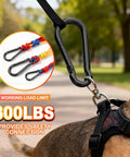 60 Pack 2.36 Inch Spring Snap Hooks Carabiners Heavy Duty Zinc Plated Steel Clips shown on a dog leash with 300 lbs weight limit