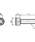 Technical diagram of ✝️ SPV-M6-15-C NBK Plastic Screw - Socket Head Cap Screws - PVDF - Made in Japan, showing dimensions and design.