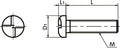 SROS-M3-6 NBK One Side Pan Head Machine Screws Pack of 20 NBK - Made in Japan - VXB Ball Bearings