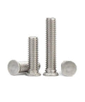 SS304 Stainless Steel Pressure Riveting Flat Head Bolts Set M3 To M10 with M8 X 12mm Option, showing durable flat head bolts.