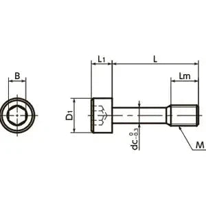 Technical drawing of ✝️ SSC-M4-16 NBK Socket Head Cap Captive Screws - Made in Japan, showing dimensions and side view.