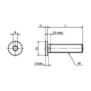 SSHT-M4-12 NBK Socket Head Cap Screws - Special Low Profile - Pure Titanium -Made in Japan - Buy Bearings online - Fast US Shipping