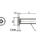 Technical diagram of ✝️ SSTS-M2-4 NBK Hexalobular Socket Head Cap Screws - Low Profile - Made in Japan, side view with dimensions.