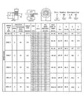 Detailed diagram of Stainless Steel 304 Rivet Nuts Set 10 to 50 Pcs M3 M4 M5 M6 M8 Press Nut Rivet Nut ZS Series specifications.