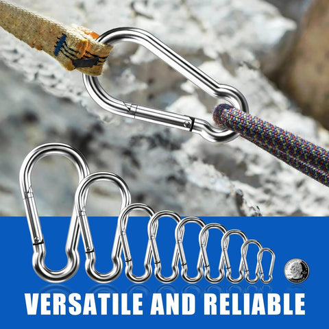 Stainless steel carabiners in various sizes with rope and wood background, labeled versatile and reliable.
