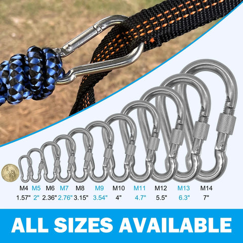 304 Stainless Steel Carabiners 2 Inch M5 Screw Lock Heavy Duty Rustproof Clips in various sizes with ropes attached.