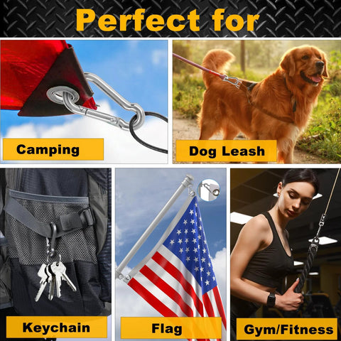 12 Pack Small Stainless Steel Carabiner Clips for bird feeders and dog leashes harnesses quick link keychains shown in various uses