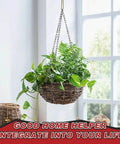 Hanging plant with green leaves suspended by ✝️ 304 Stainless Steel Link Chain, 5/64in-33ft, in a bright indoor setting