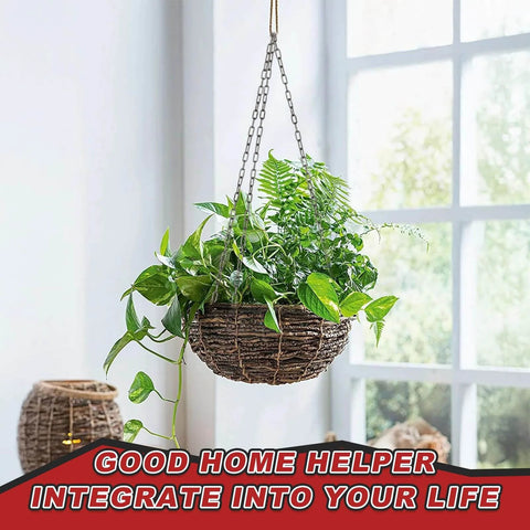 Hanging plant with green leaves suspended by ✝️ 304 Stainless Steel Link Chain, 5/64in-33ft, in a bright indoor setting