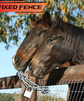 Horses resting heads on a wooden fence with a chain and padlock, Fixed Fence logo visible. Forest backdrop.