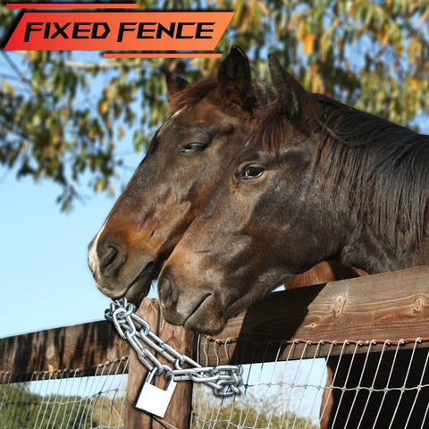 Horses resting heads on a wooden fence with a chain and padlock, Fixed Fence logo visible. Forest backdrop.