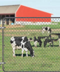 Rugged stainless steel gate hinge set for outdoor use with two pack wall mount hinges attached to farm gate with cows in background.