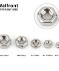 Assorted nuts from 304 Grade Stainless Steel Screw And Nut Kit With 160 Pieces M2 M2.5 M3 M4 M5 Assortment